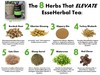 8 herbs esseherbal tea 3